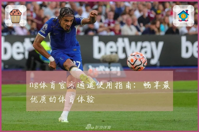 ng体育官方通道使用指南：畅享最优质的体育体验