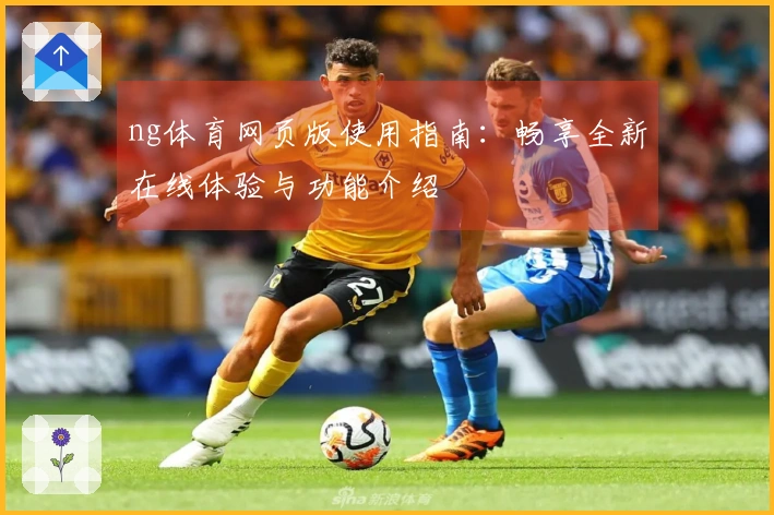 ng体育网页版使用指南：畅享全新在线体验与功能介绍