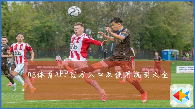 ng体育APP官方入口及使用说明大全