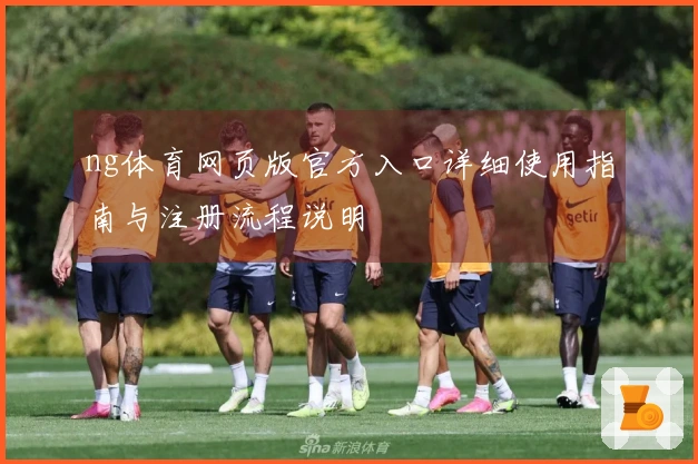 ng体育网页版官方入口详细使用指南与注册流程说明