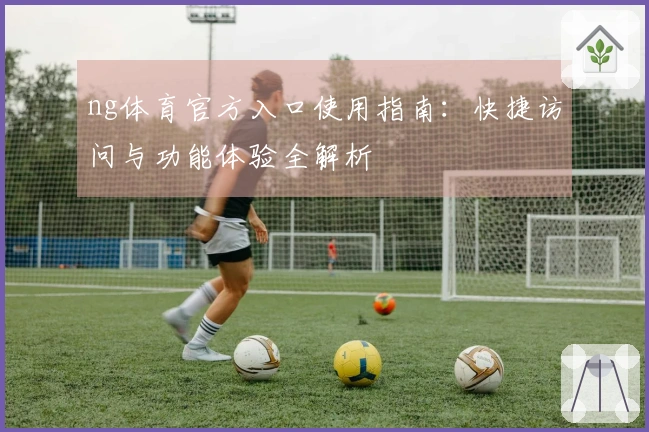 ng体育官方入口使用指南：快捷访问与功能体验全解析