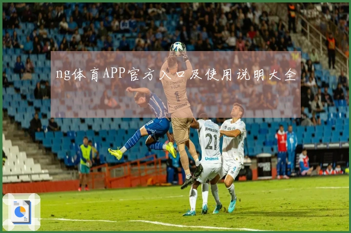 ng体育APP官方入口及使用说明大全
