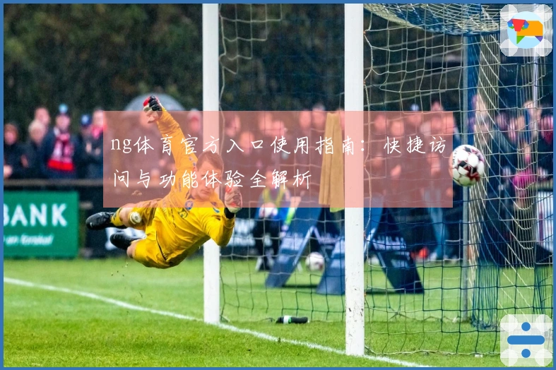 ng体育官方入口使用指南：快捷访问与功能体验全解析