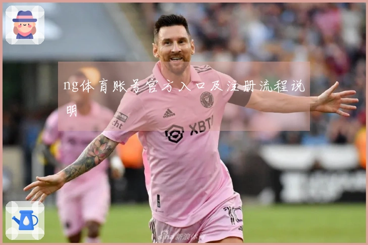ng体育账号官方入口及注册流程说明